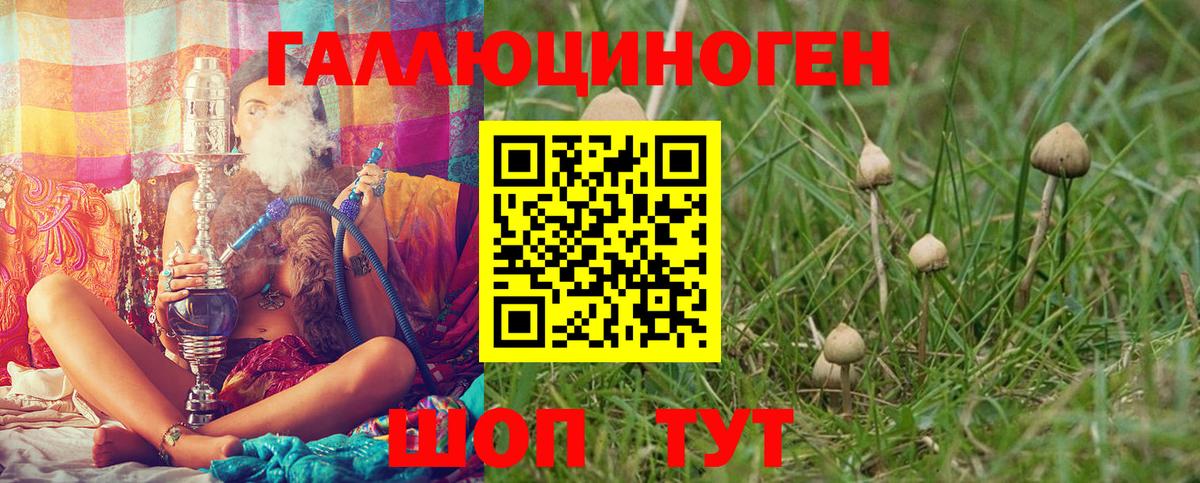 Елабуга  Галлюциногенные грибы Psilocybine cubensis  Вход с VPN 